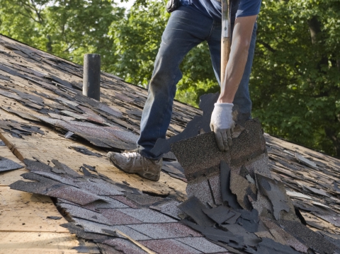 Roofing Contractor