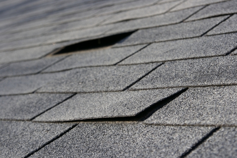 Roofing Contractor