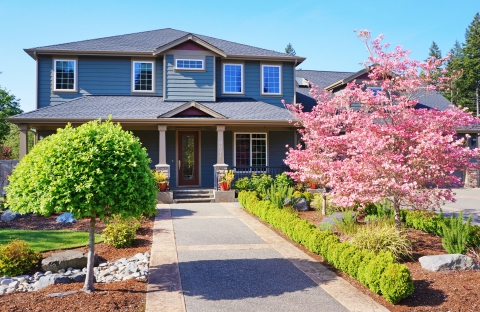 Siding Contractor