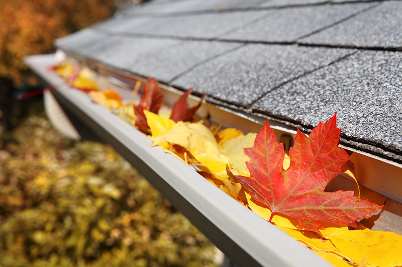 Your Guide to Maintaining Gutters Falcon Homes & Remodeling