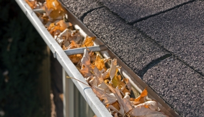 Gutter Guards