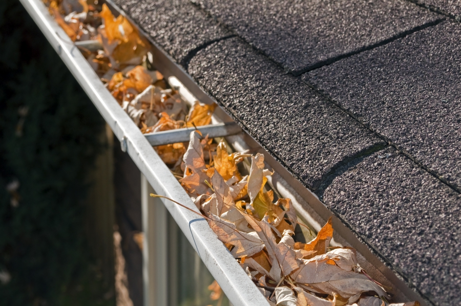 Gutter Guards