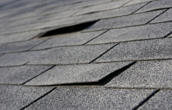 Roofing contractor